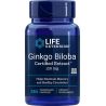 Πιστοποιημένο εκχύλισμα Ginkgo Biloba