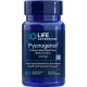 Pycnogenol® EU