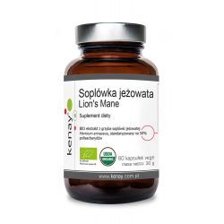 Lion's Mane Hericium erinaceus