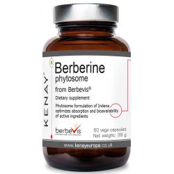 Berberyna fitosomowa z Berbevis®, 60 kaps.