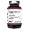 Λιβάνι & Κουρκουμάς ApresFlex® (Boswellia serrata) & BCM 95® (CURCUGREEN®)