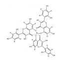 Cholesterin und Triglyceride